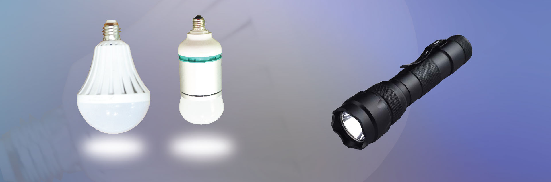 LED Bulb and Torch light